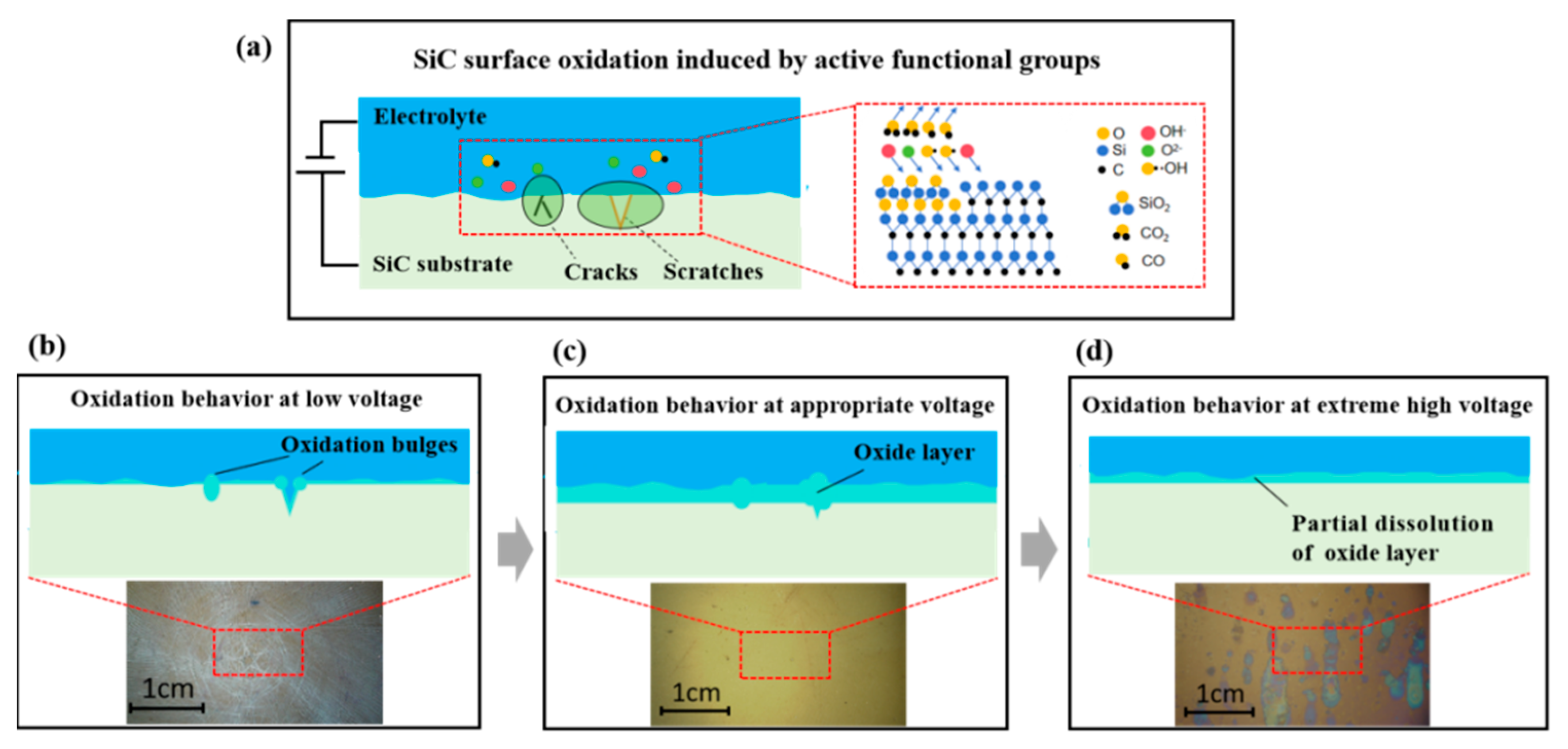 Micromachines 16 01129 g010
