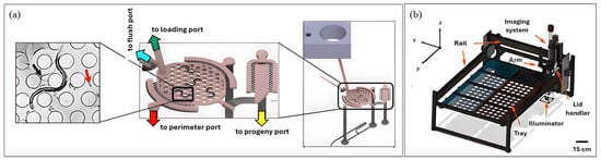 Micromachines 16 01138 g003