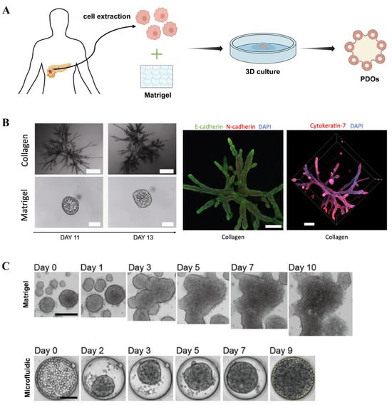 Micromachines 16 01140 g005