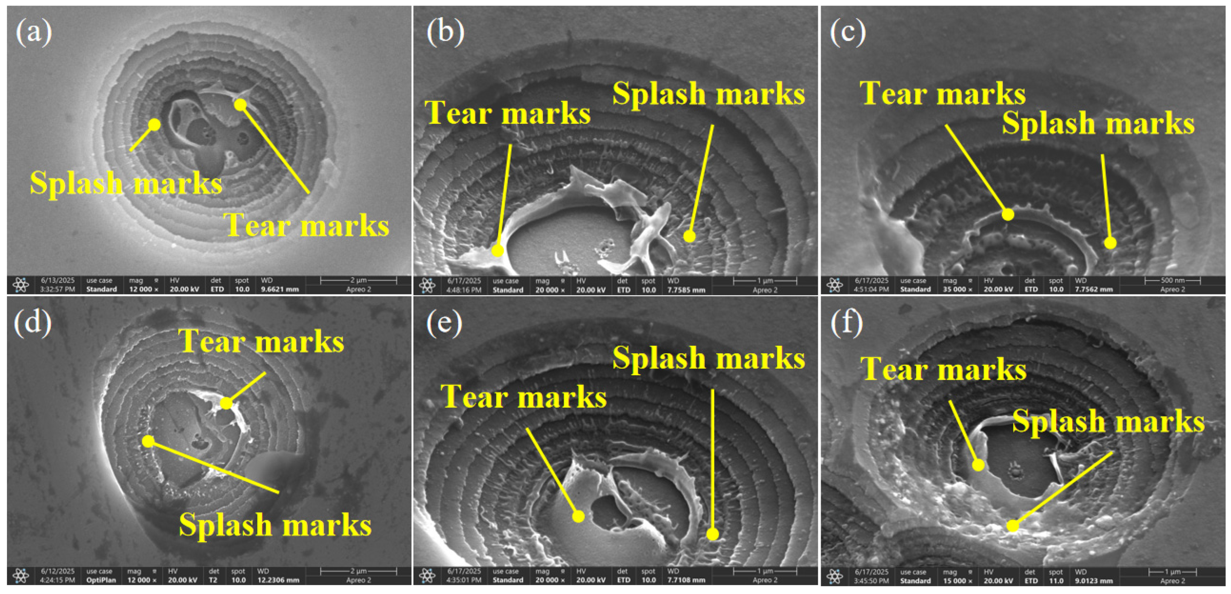 Micromachines 16 01191 g010