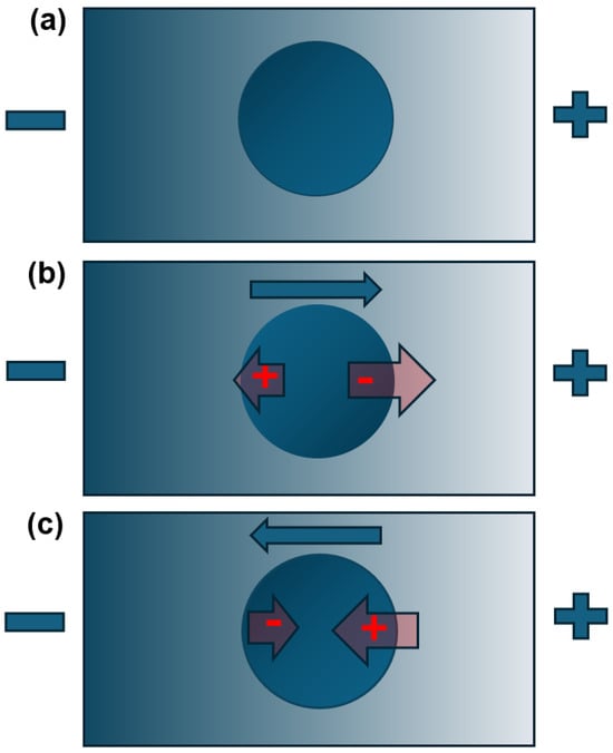 Micromachines 16 01200 g0a1