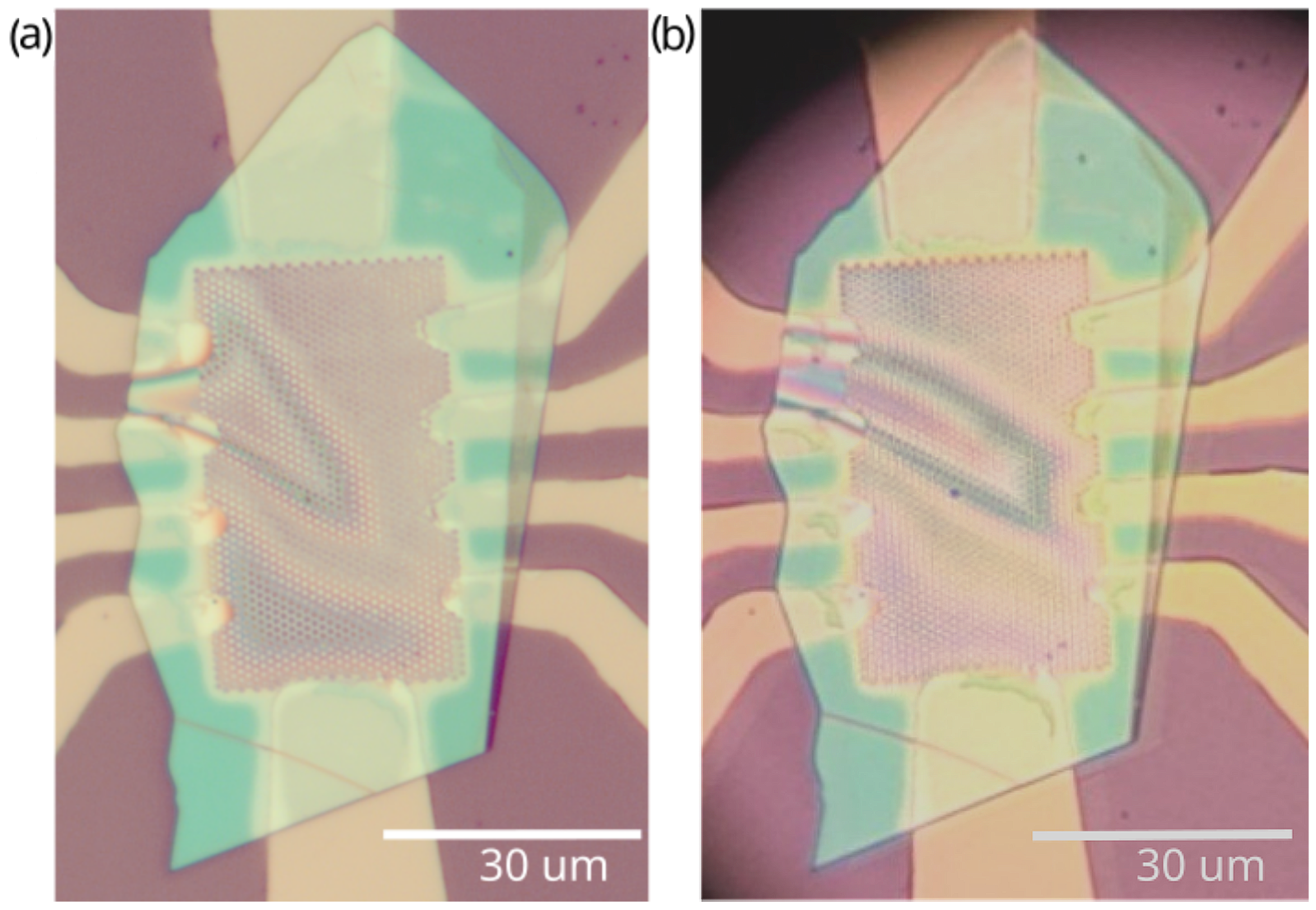 Micromachines 16 01385 g003 Micromachines 16 01385 g003