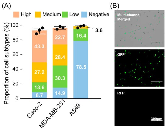 Micromachines 17 00009 g006