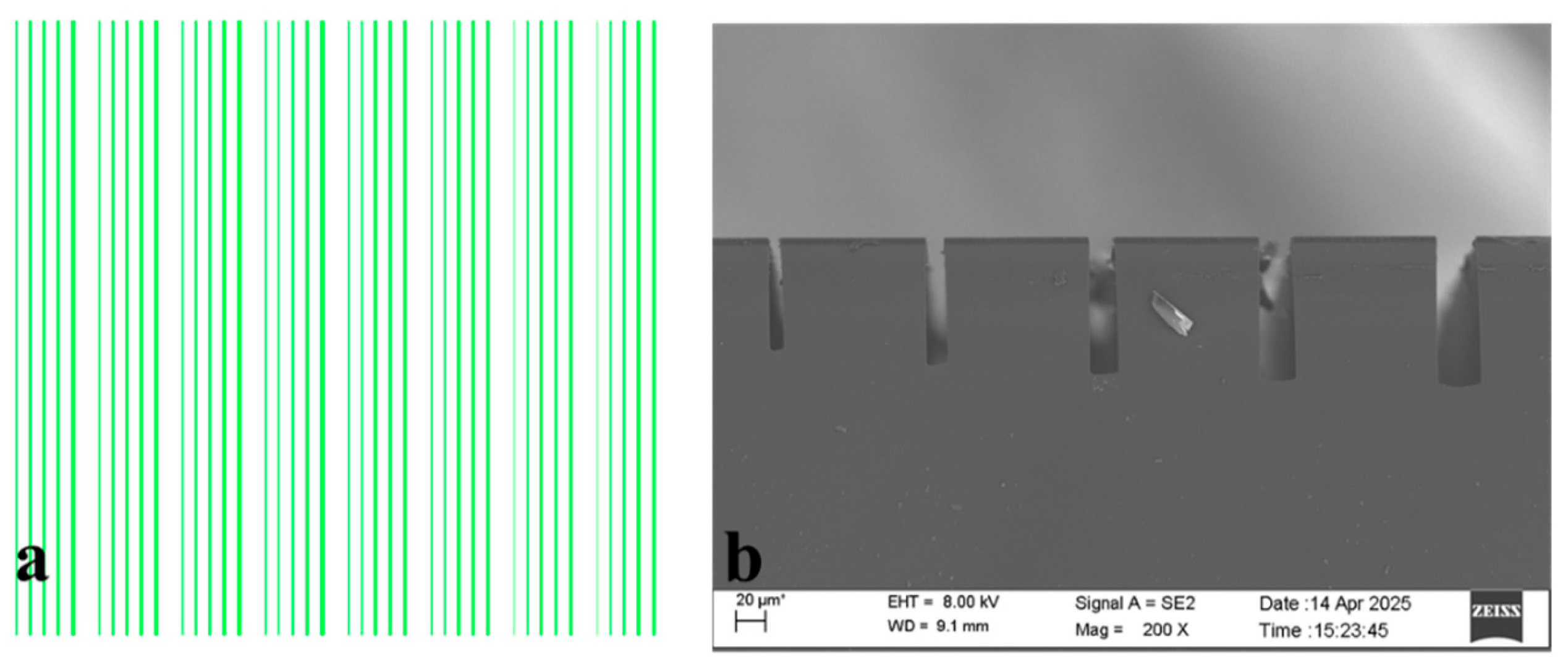 Micromachines 17 00013 g001 Micromachines 17 00013 g001