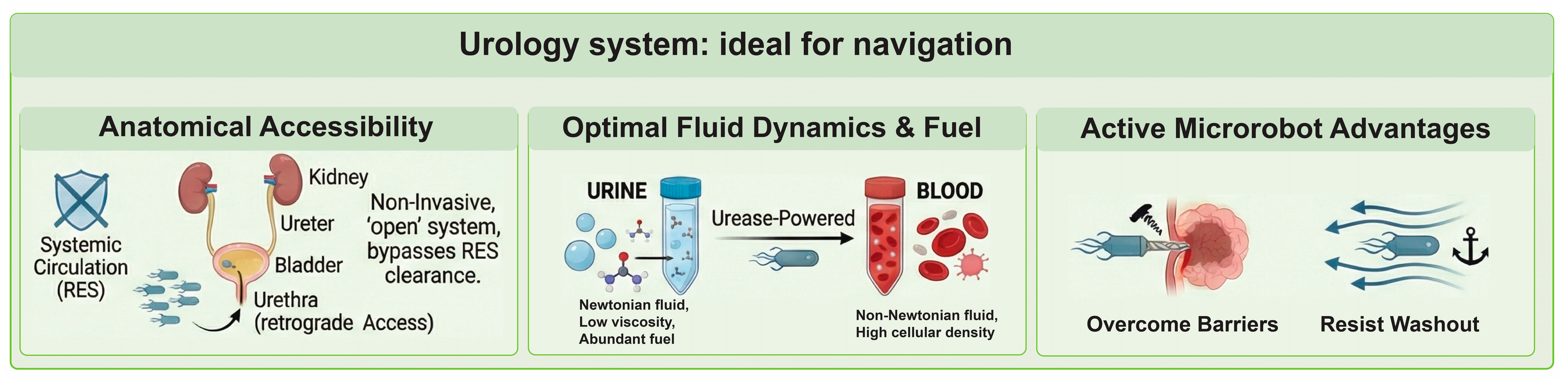 Micromachines 17 00024 g004