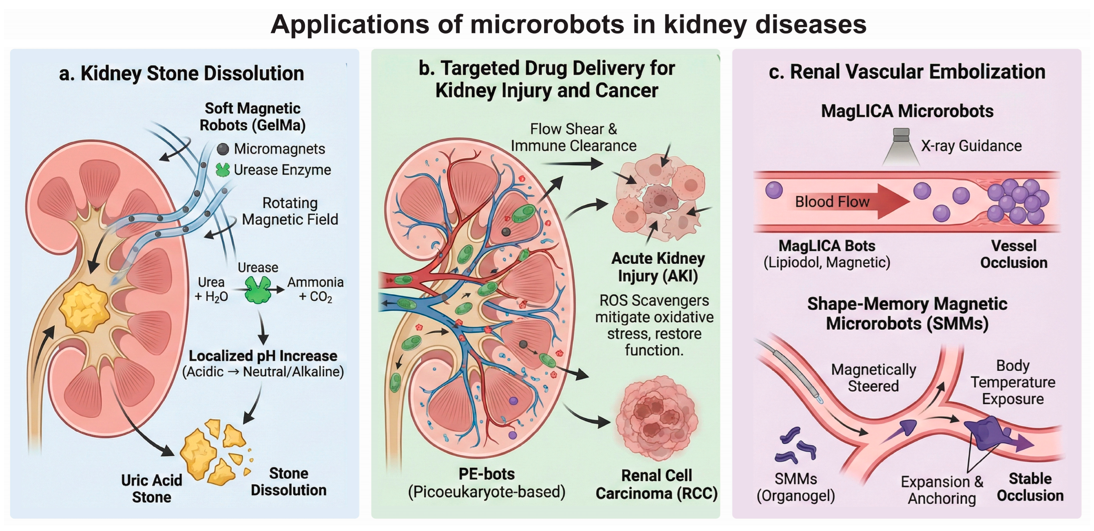 Micromachines 17 00024 g006