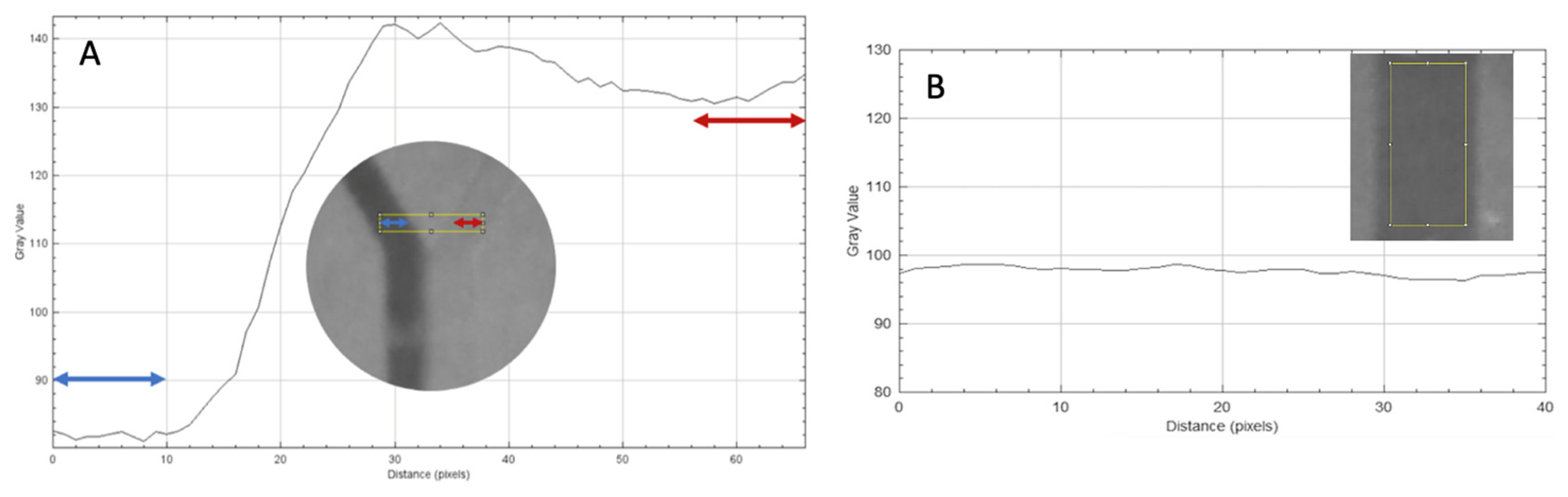 Micromachines 17 00193 g002 Micromachines 17 00193 g002
