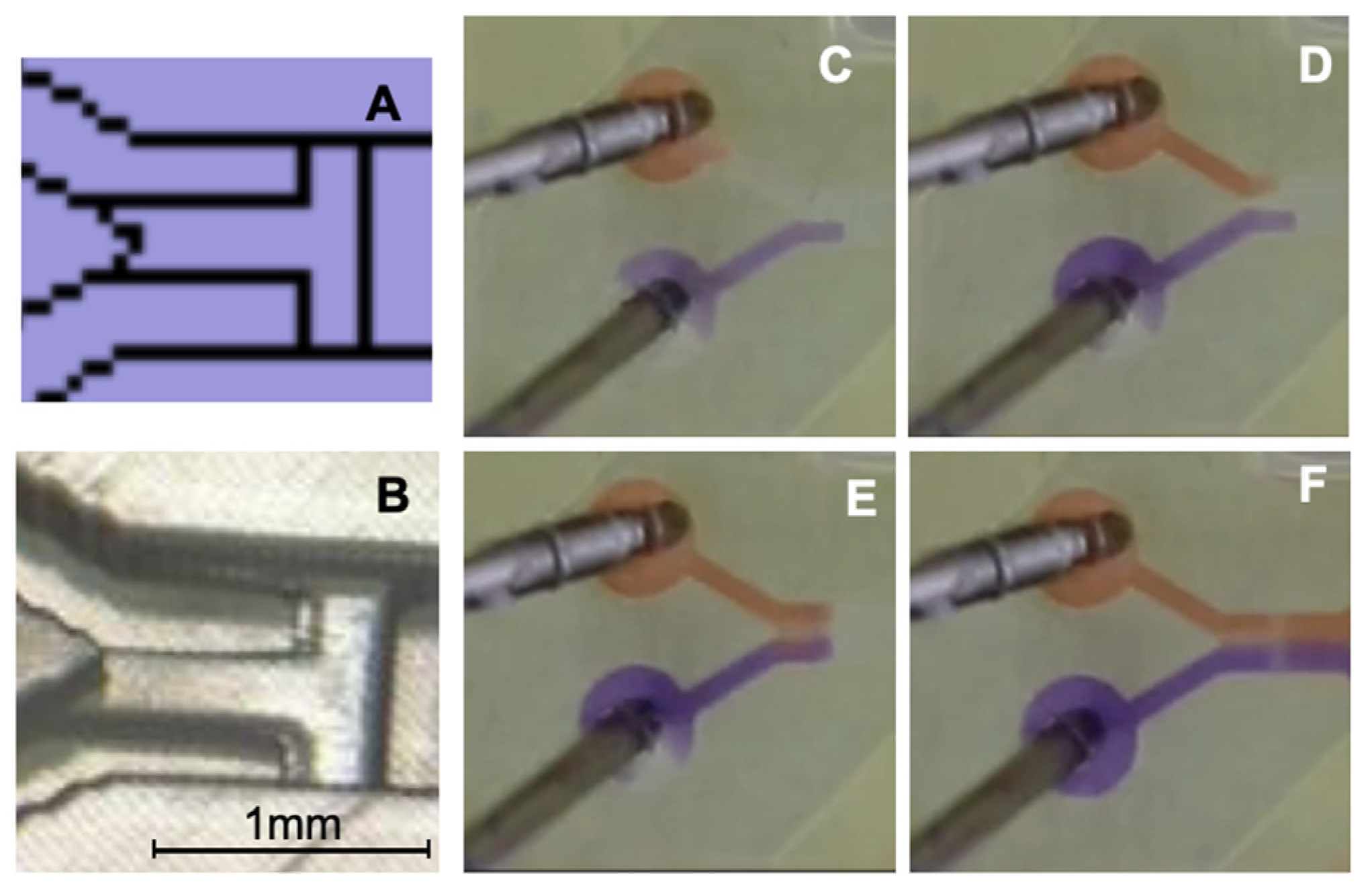 Micromachines 17 00193 g004 Micromachines 17 00193 g004