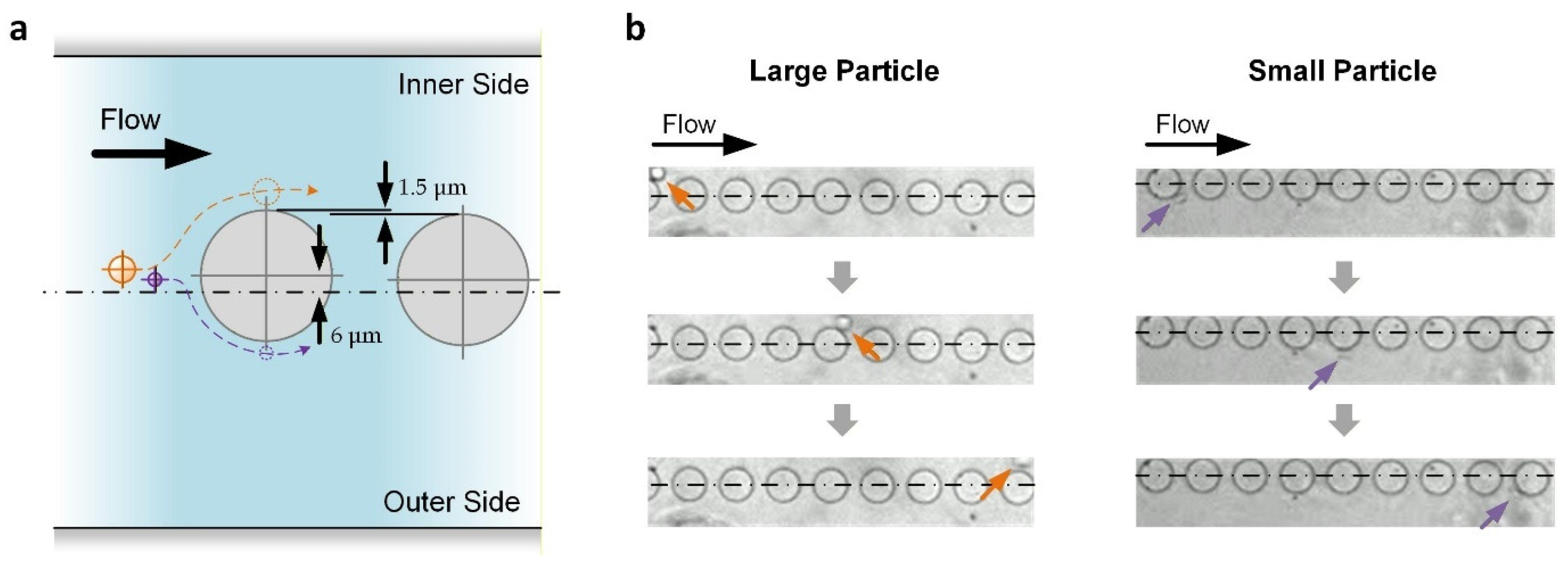 Micromachines 17 00194 g003 Micromachines 17 00194 g003