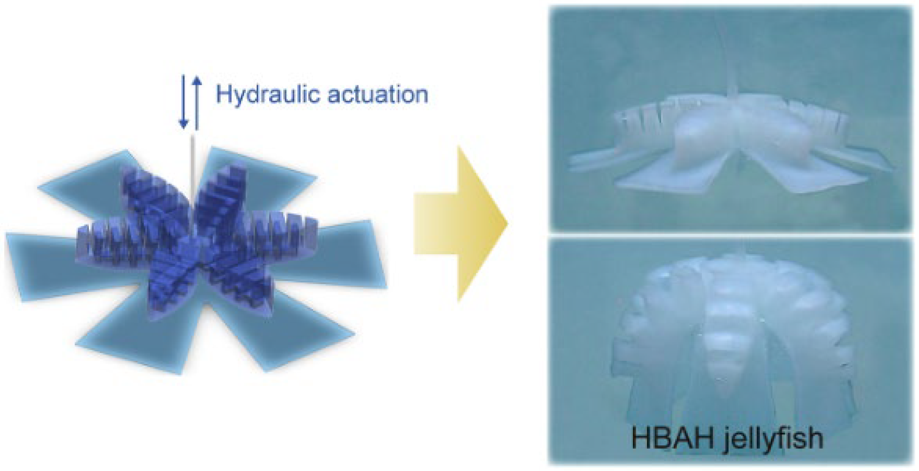 Micromachines 17 00258 g004