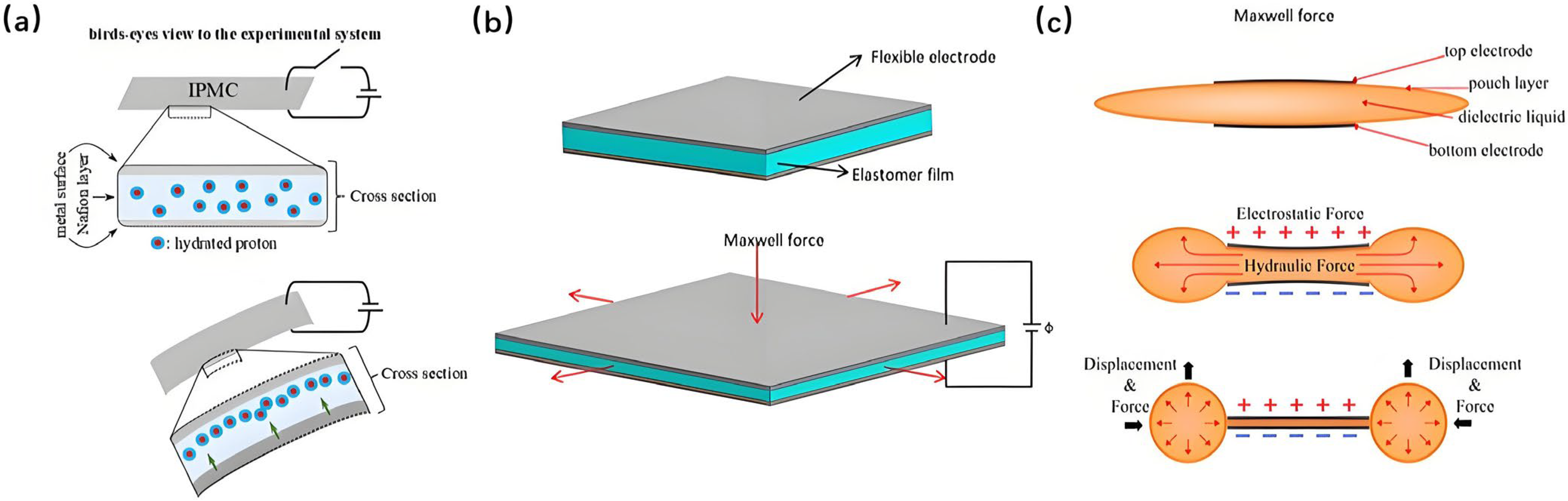 Micromachines 17 00258 g005