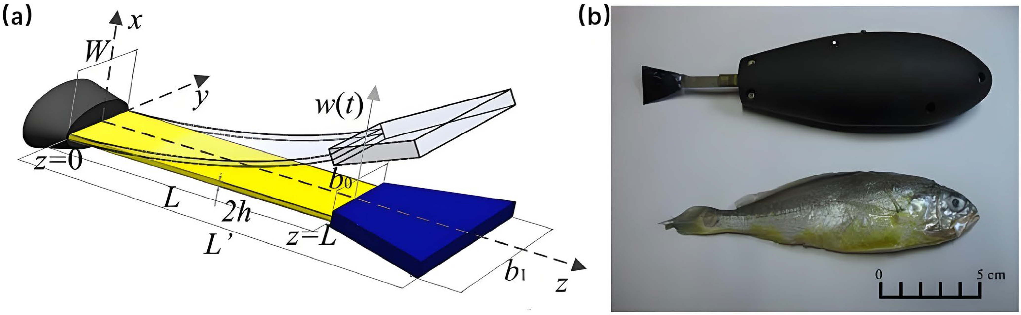 Micromachines 17 00258 g006