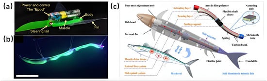 Micromachines 17 00258 g007