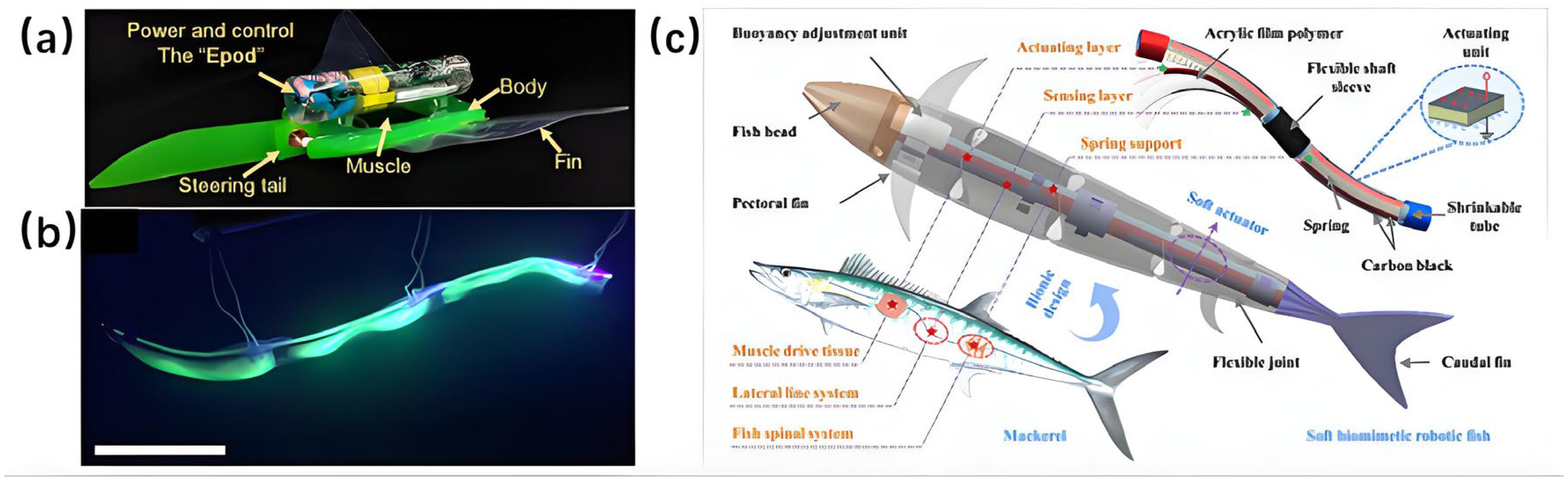 Micromachines 17 00258 g007