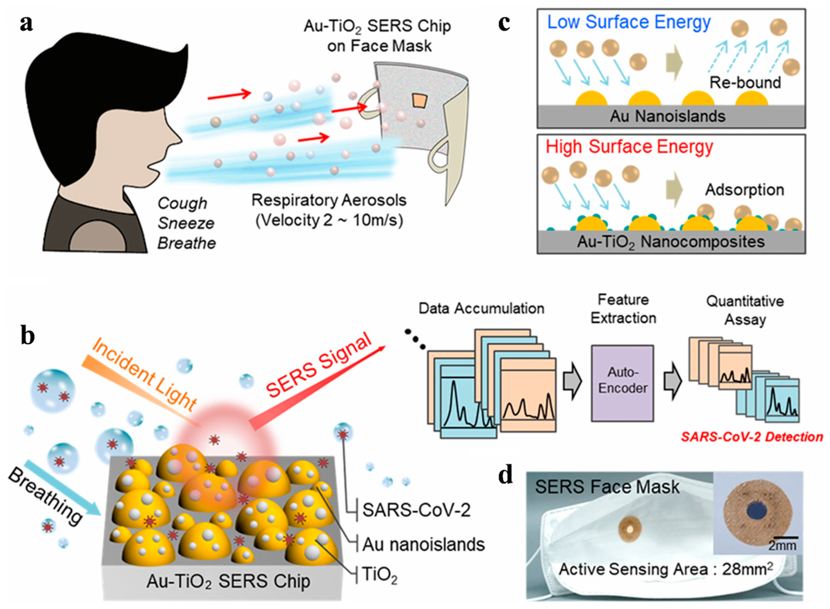 Micromachines 17 00283 g012
