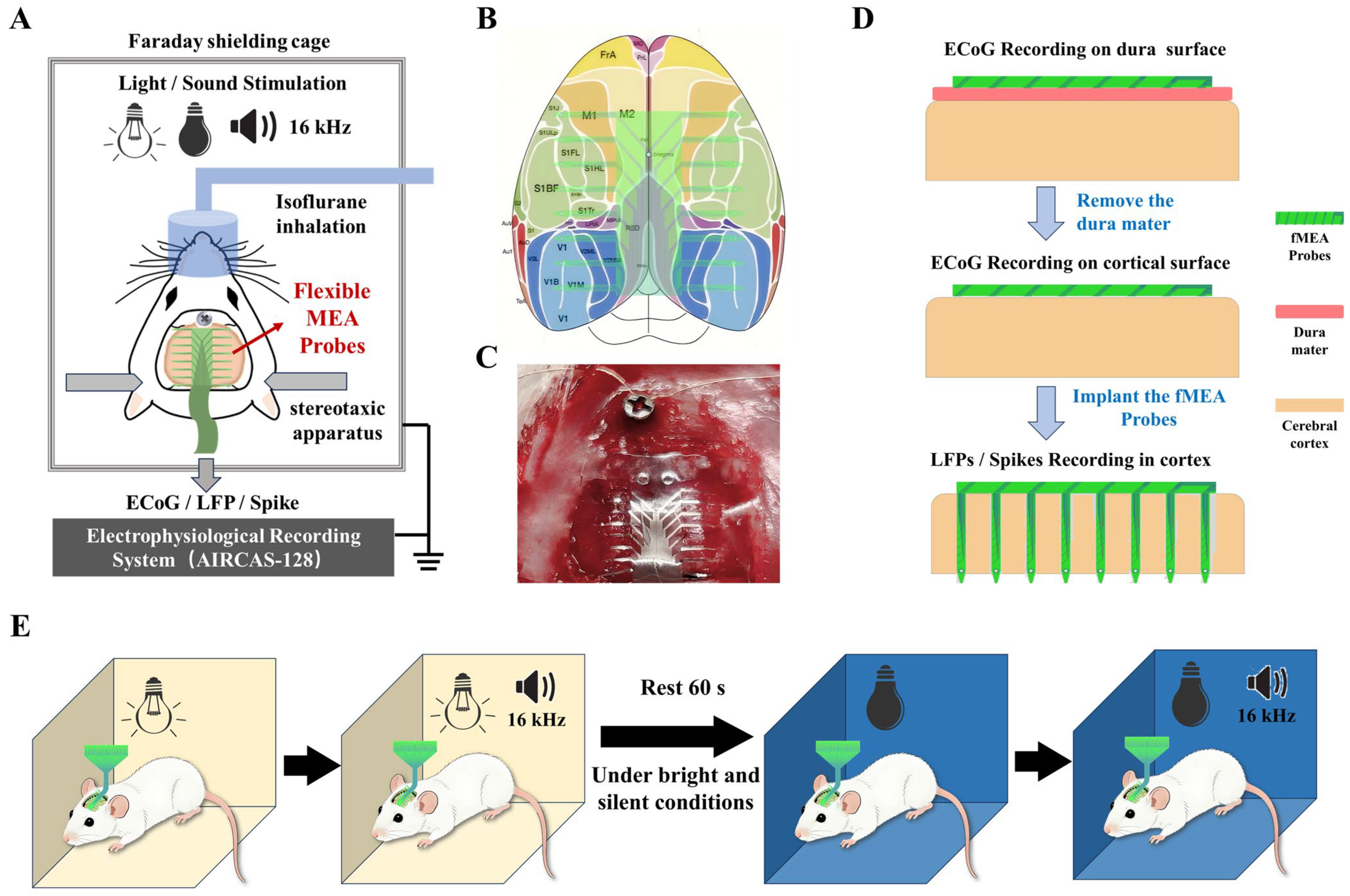 Micromachines 17 00301 g002 Micromachines 17 00301 g002