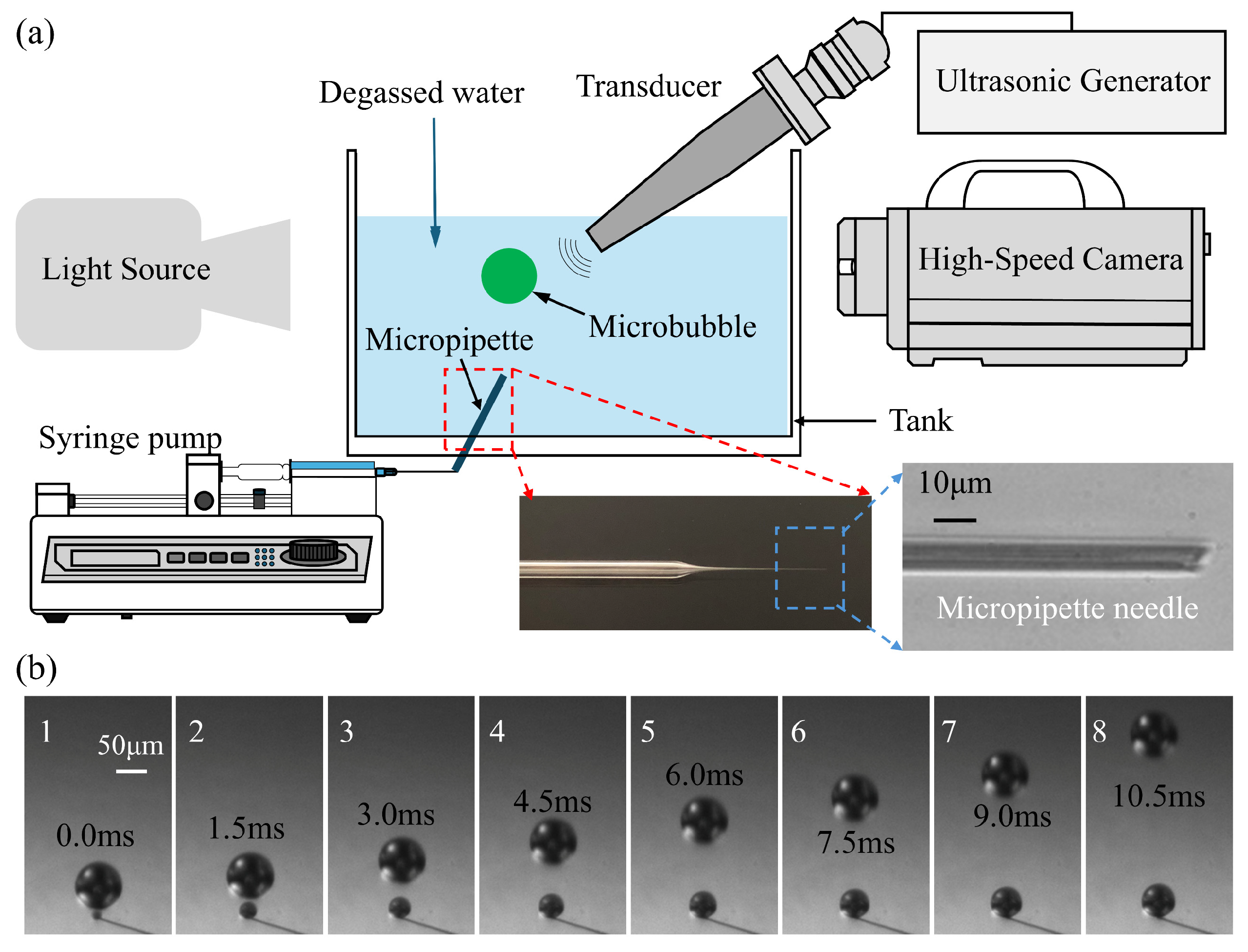 Micromachines 17 00304 g001 Micromachines 17 00304 g001