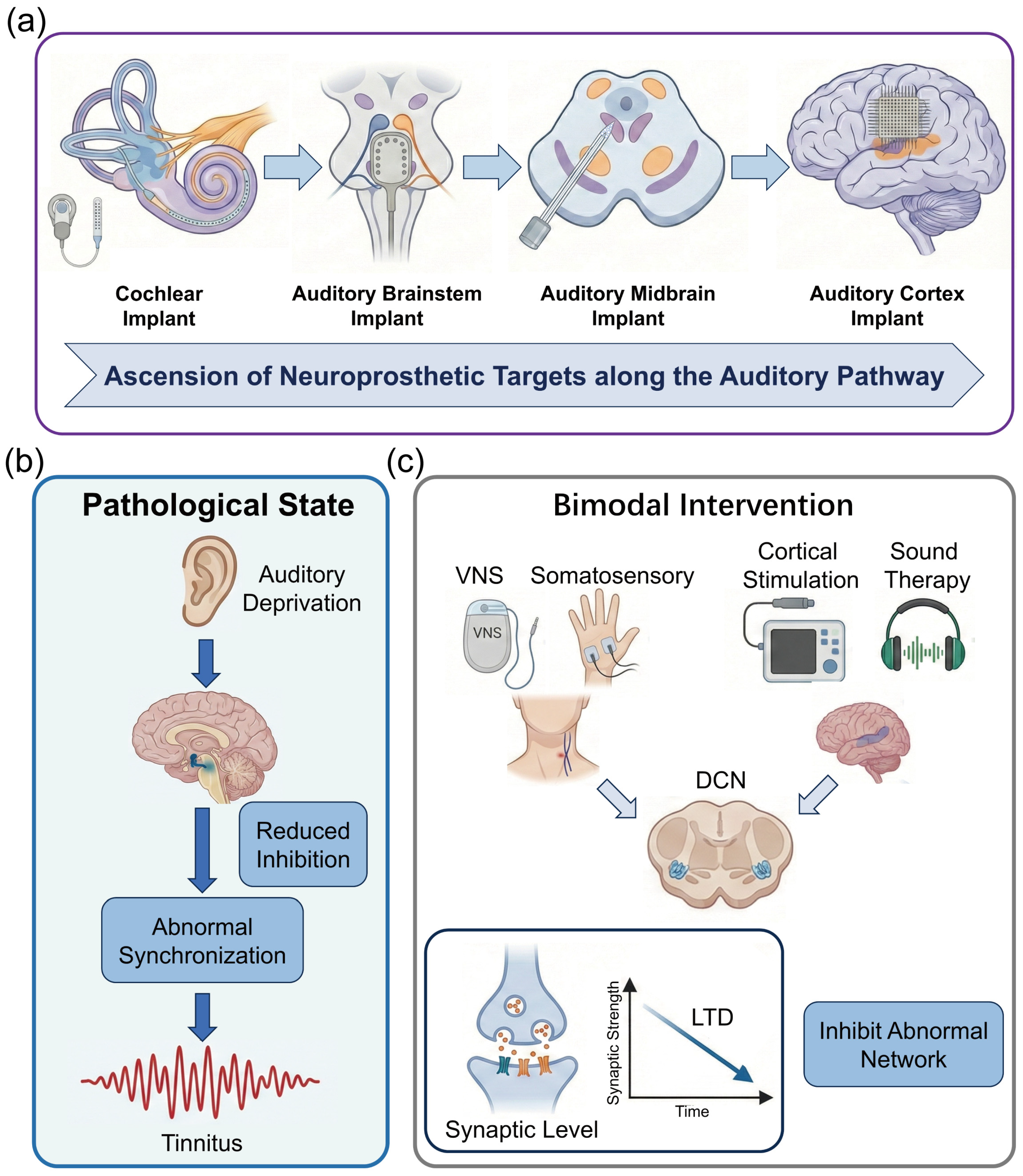 Micromachines 17 00343 g001