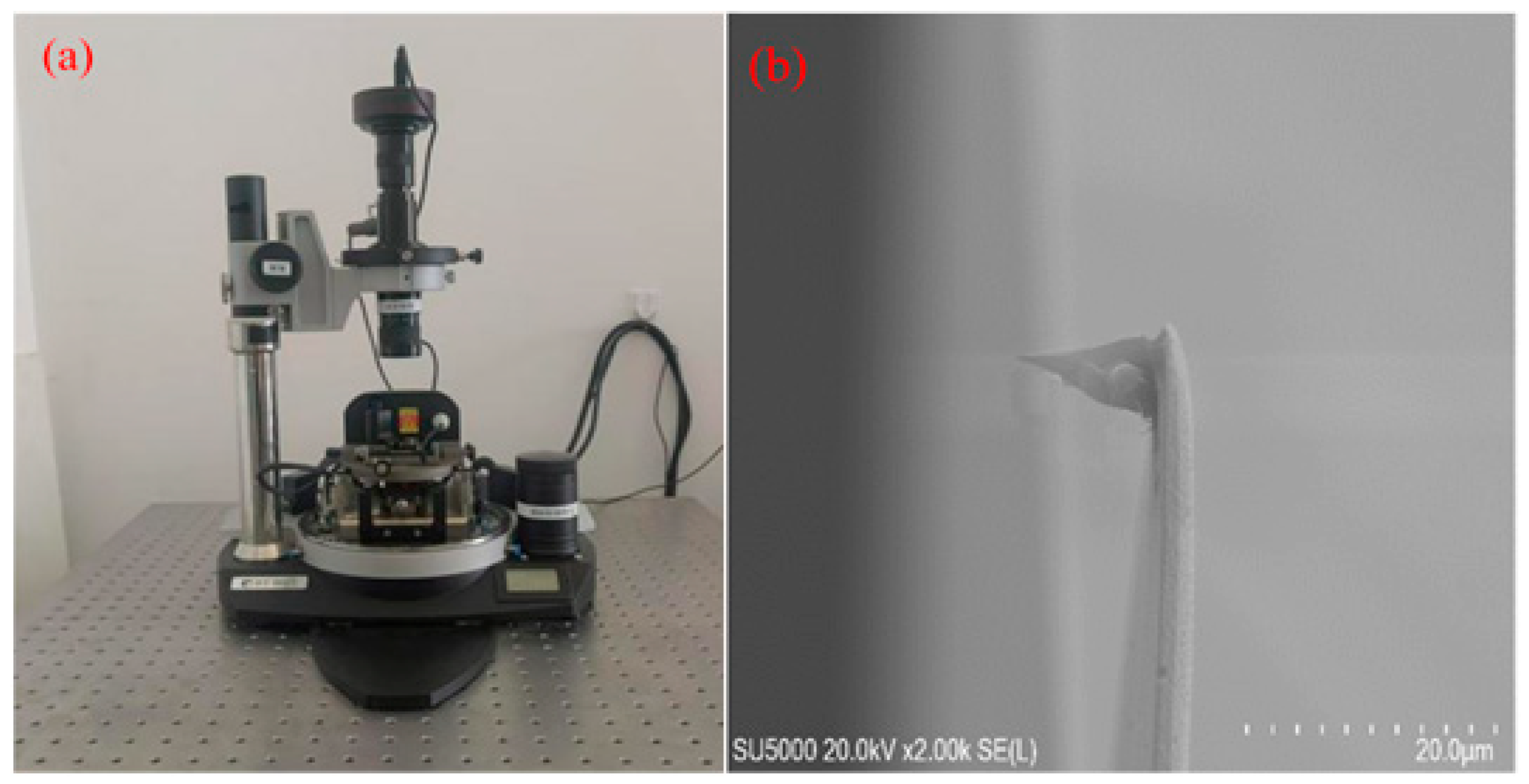 Micromachines 17 00344 g001