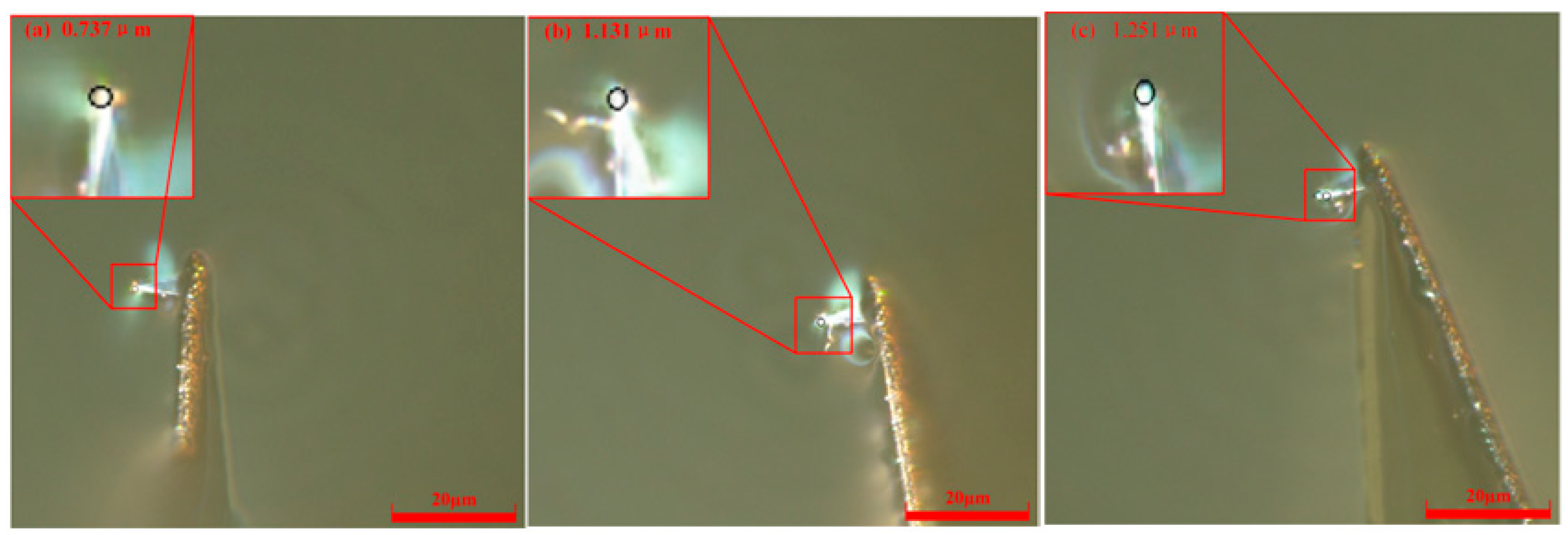 Micromachines 17 00344 g006