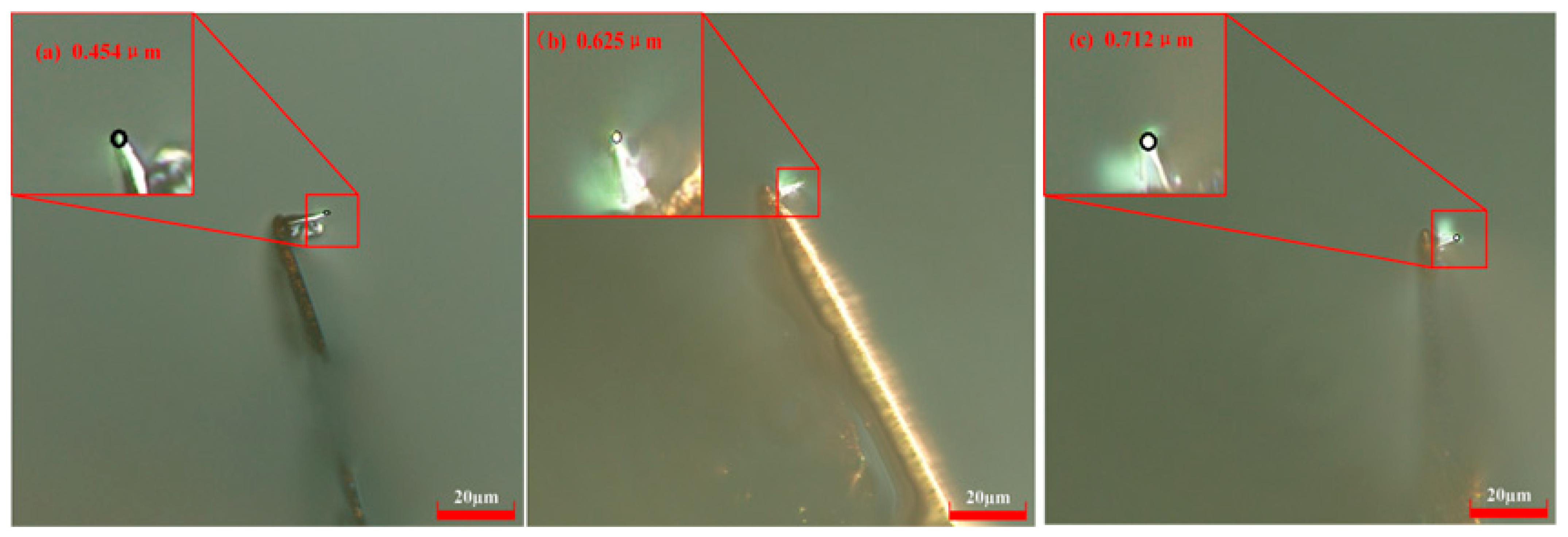 Micromachines 17 00344 g010