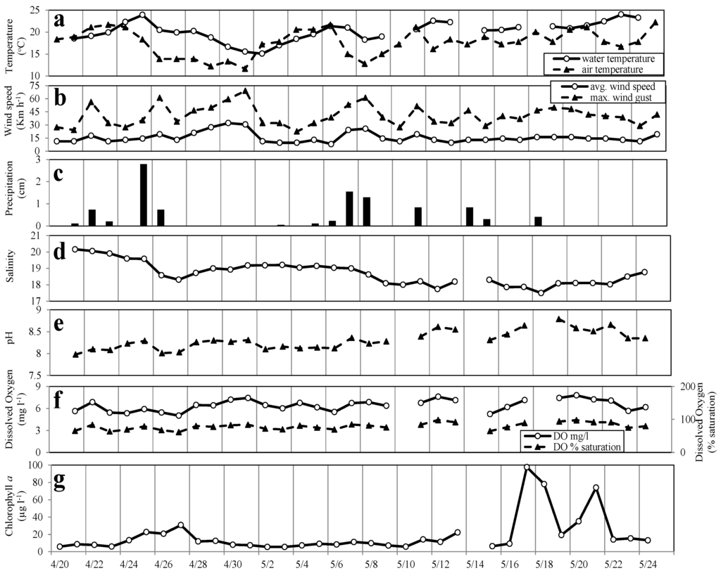Microorganisms 02 00033 g001 1024