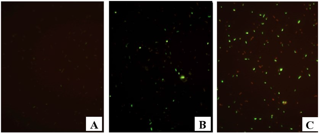 Microorganisms 03 00017 g001 1024