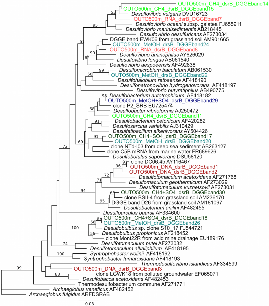 Microorganisms 03 00017 g003 1024