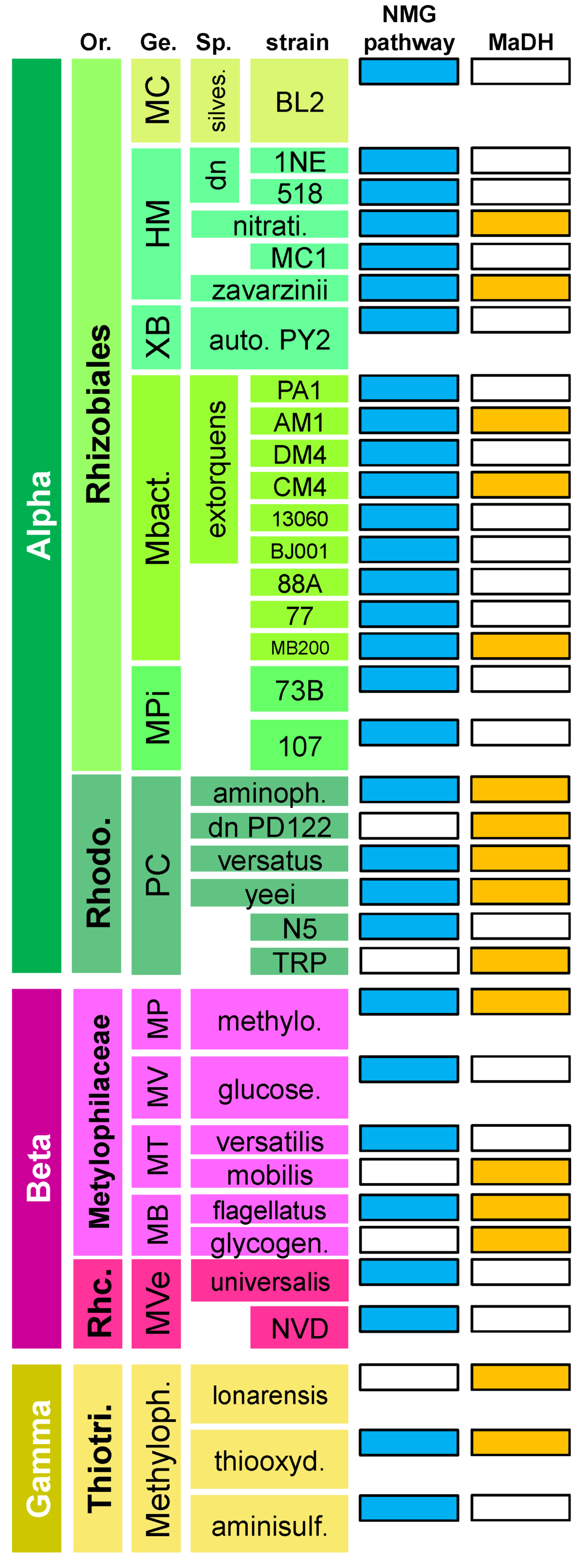 Microorganisms 03 00060 g002 1024