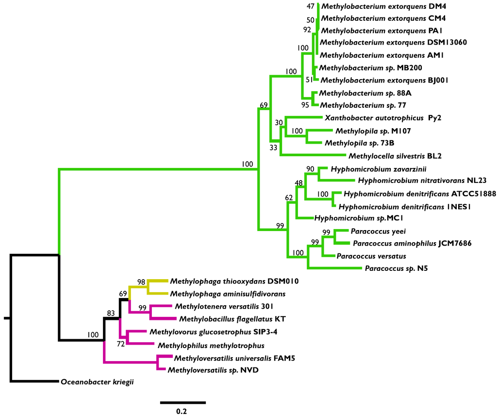 Microorganisms 03 00060 g003 1024