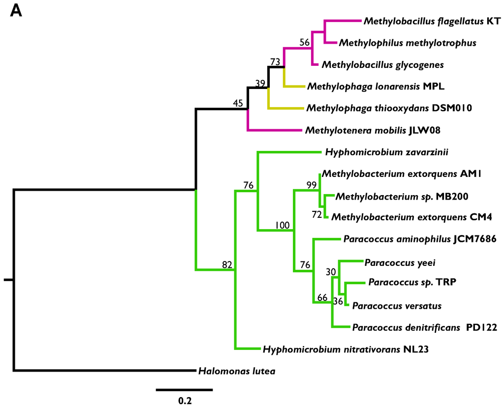 Microorganisms 03 00060 g004a 1024