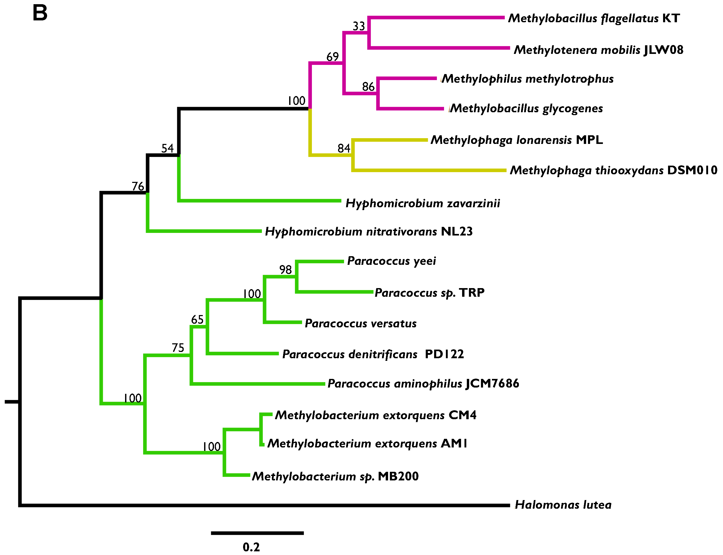 Microorganisms 03 00060 g004b