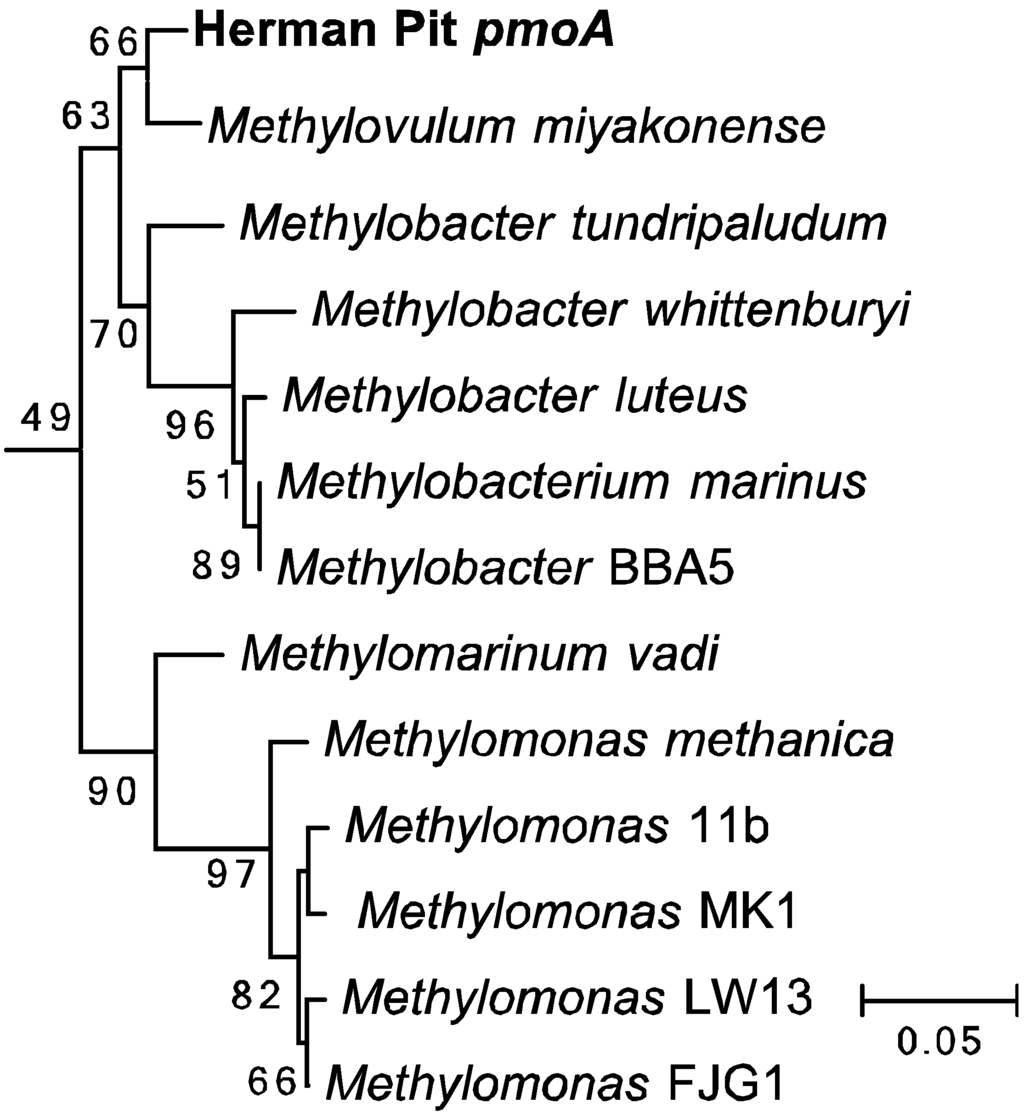 Microorganisms 03 00290 g004 1024