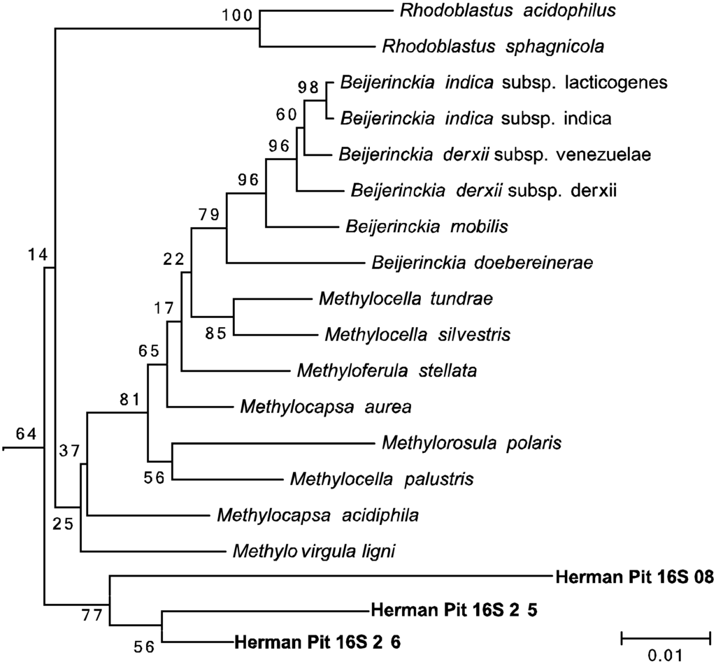 Microorganisms 03 00290 g006 1024