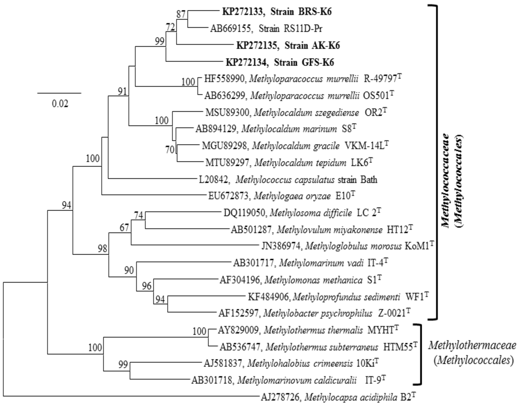 Microorganisms 03 00484 g002 1024