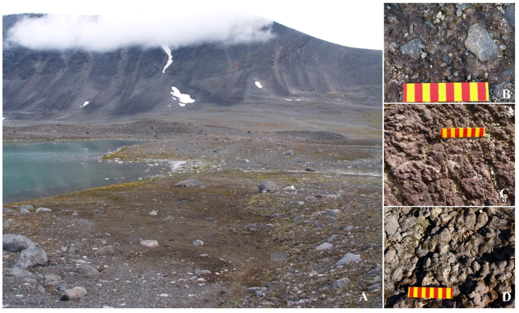 Microorganisms 03 00612 g001 1024