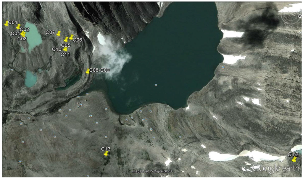 Microorganisms 03 00612 g002 1024