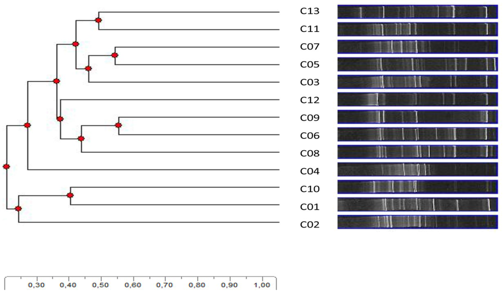 Microorganisms 03 00612 g005 1024