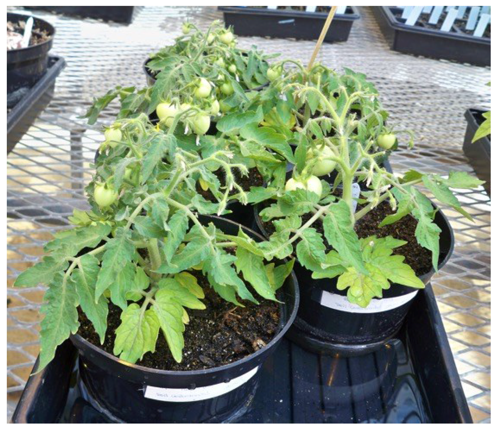 Microorganisms 03 00809 g004 1024