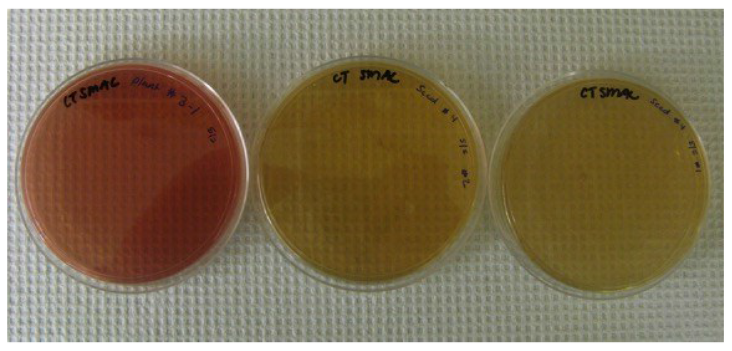 Microorganisms 03 00809 g006 1024