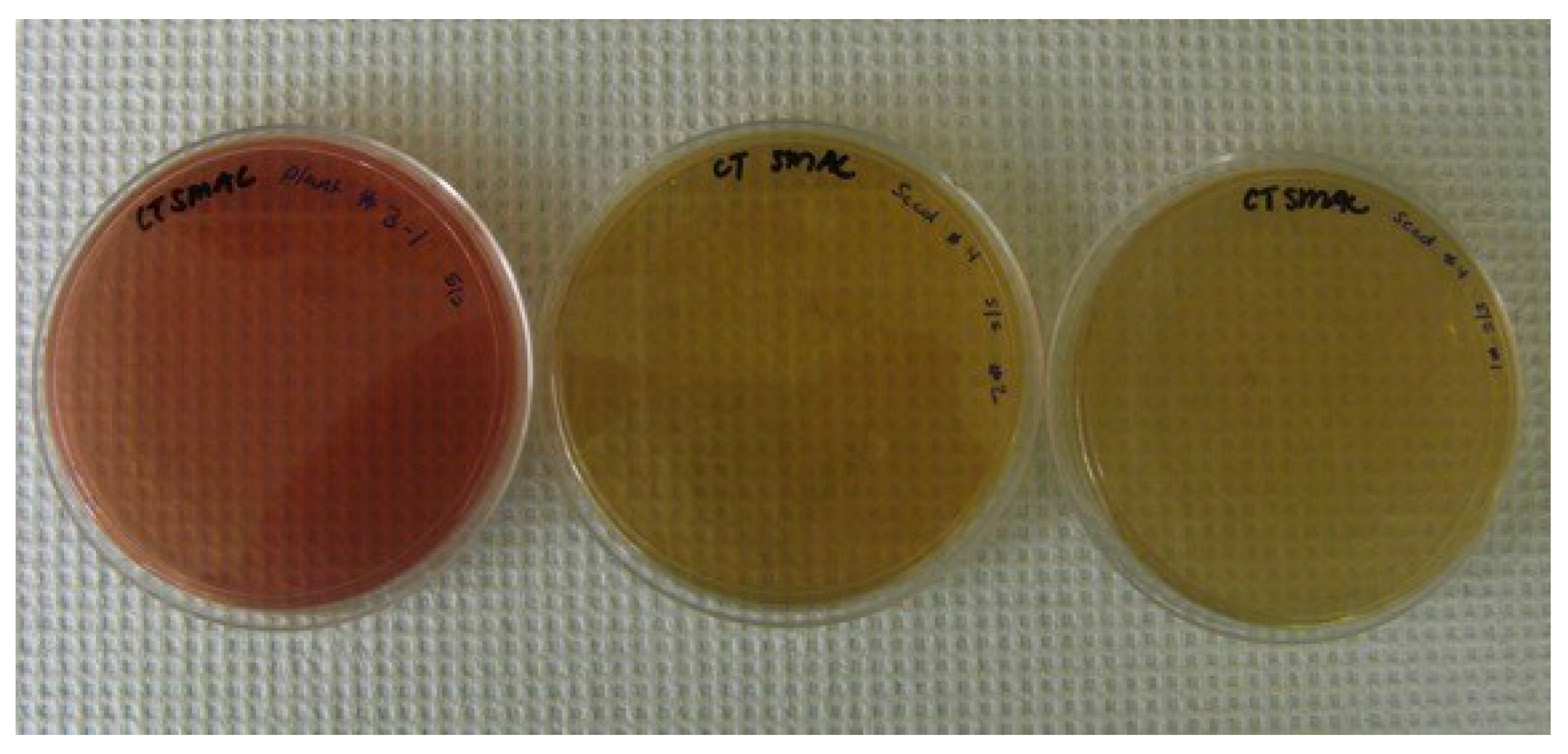 Microorganisms 03 00809 g006