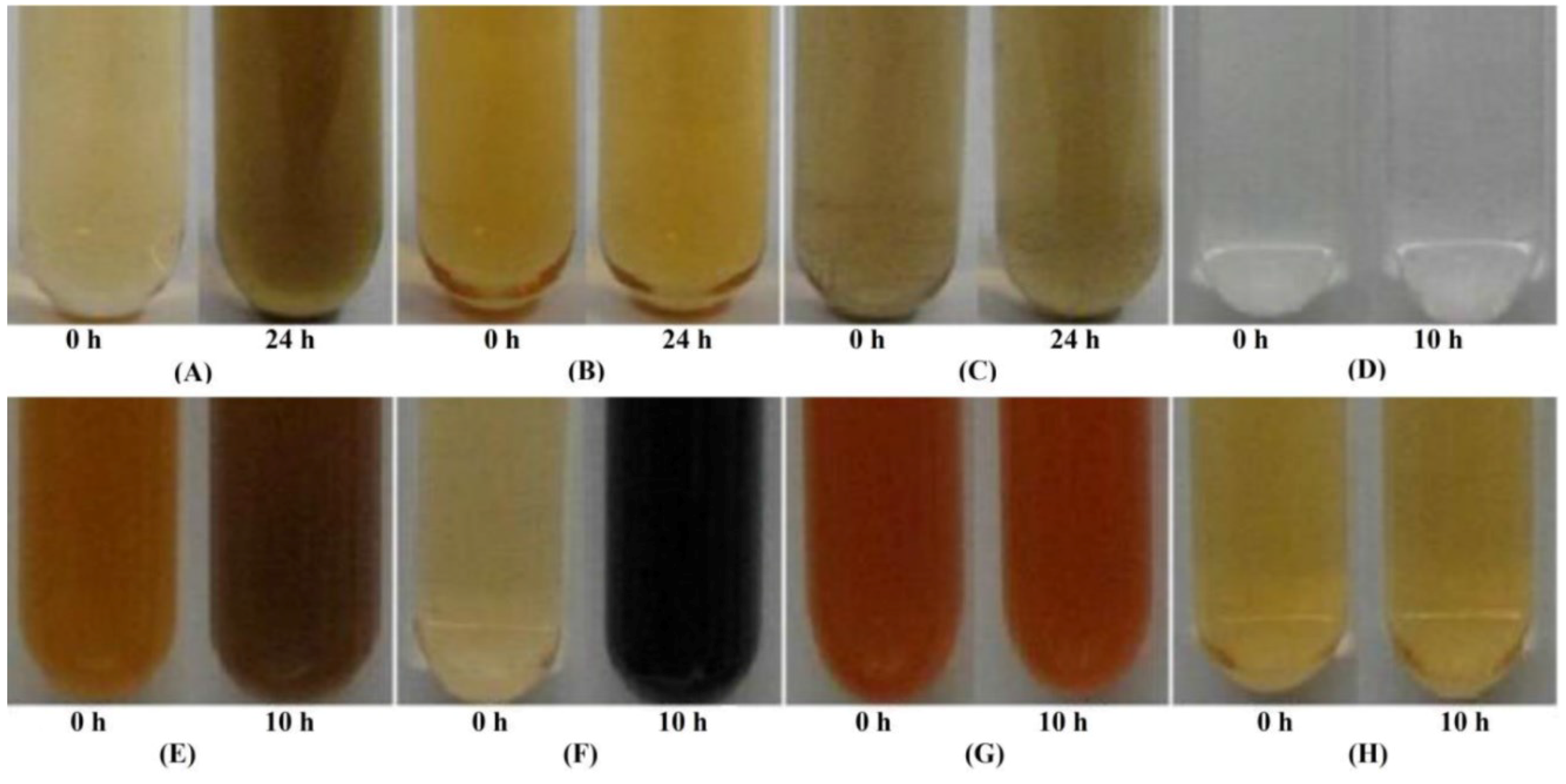 Microorganisms 03 00826 g003