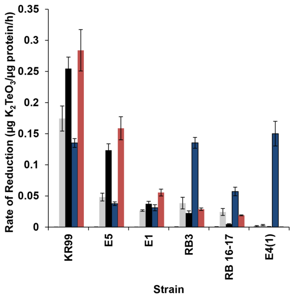 Microorganisms 03 00826 g004 1024