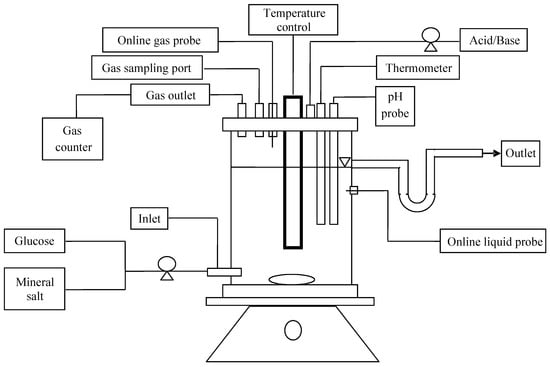 Microorganisms 04 00002 g001 550