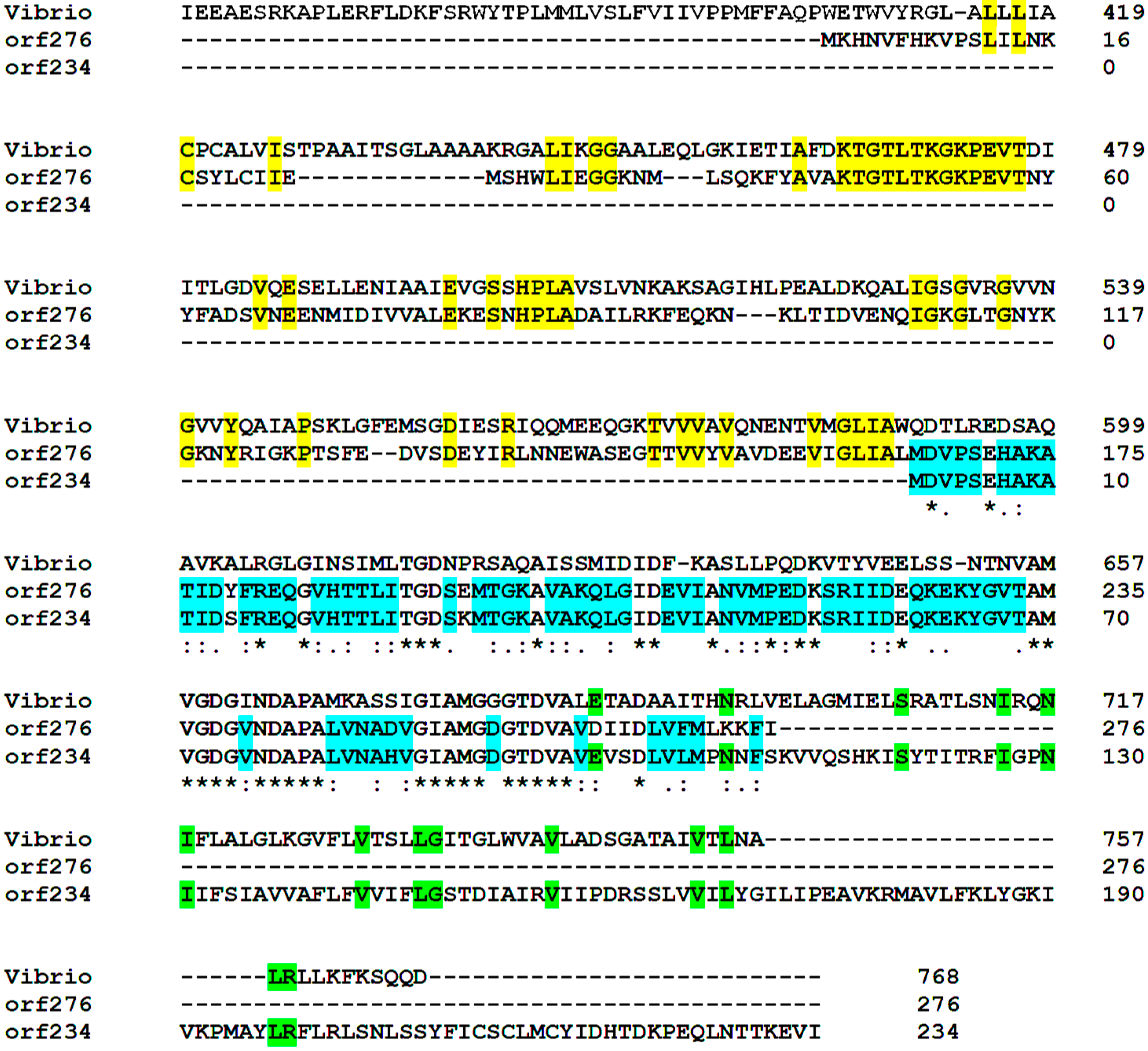 Microorganisms 04 00003 g005