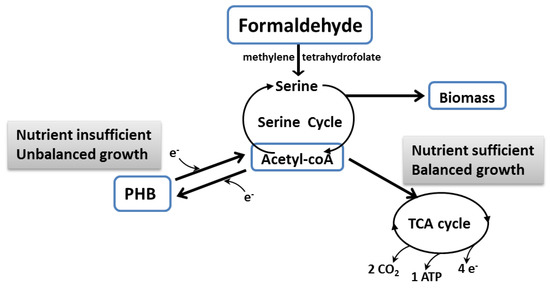 Microorganisms 04 00011 g003 550