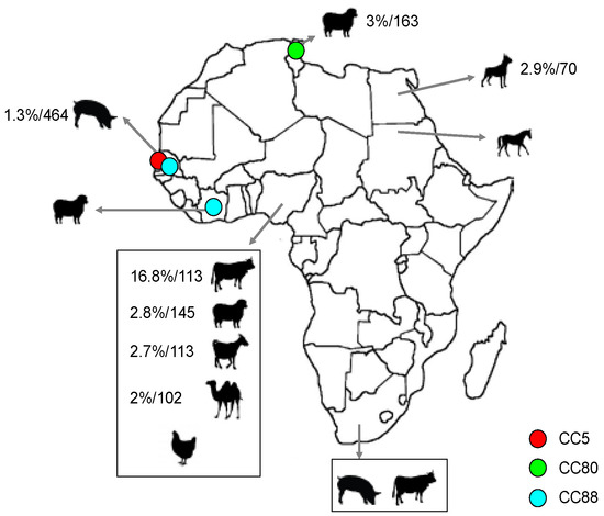 Microorganisms 04 00012 g002 550