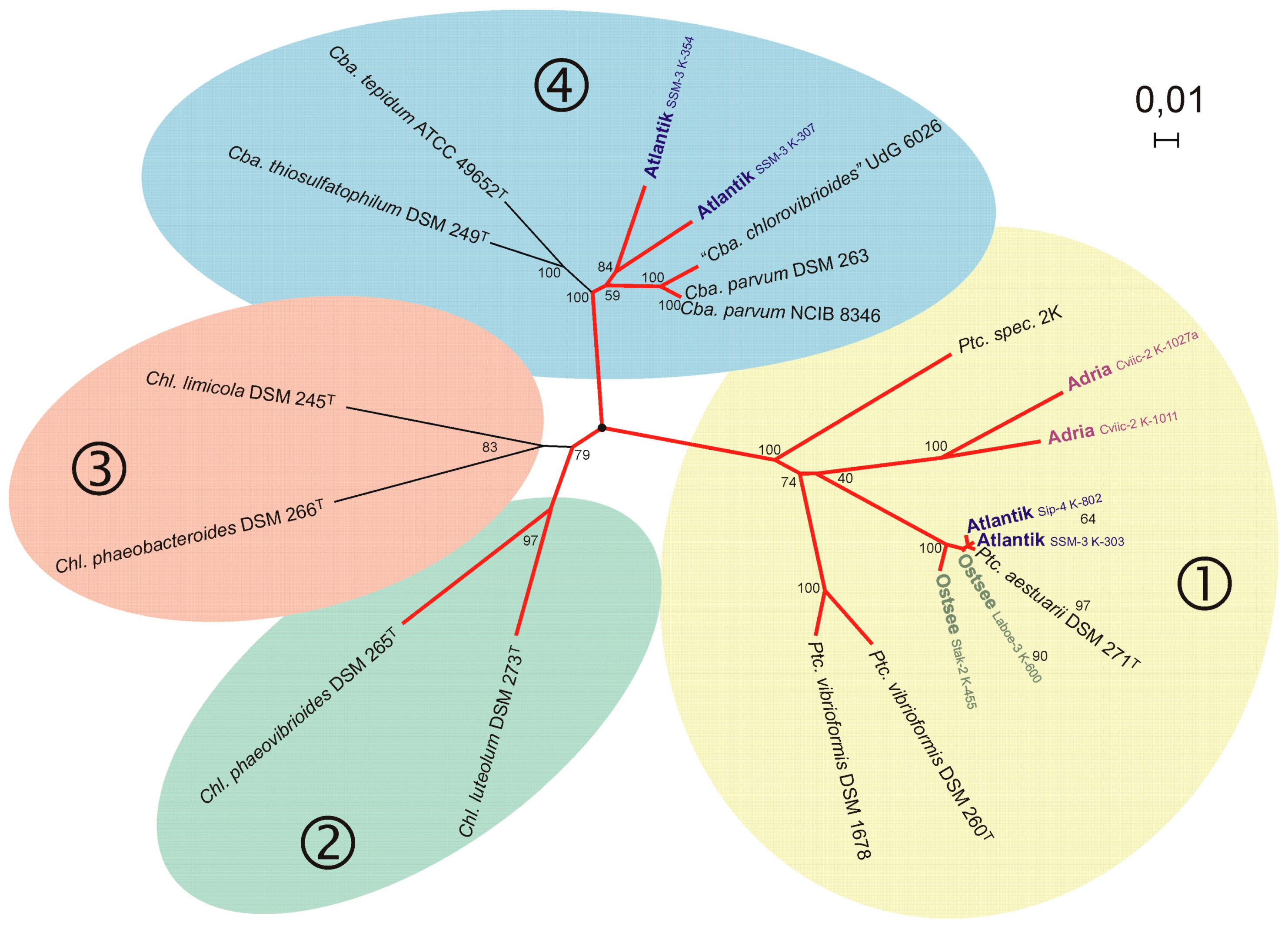Microorganisms 04 00019 g002