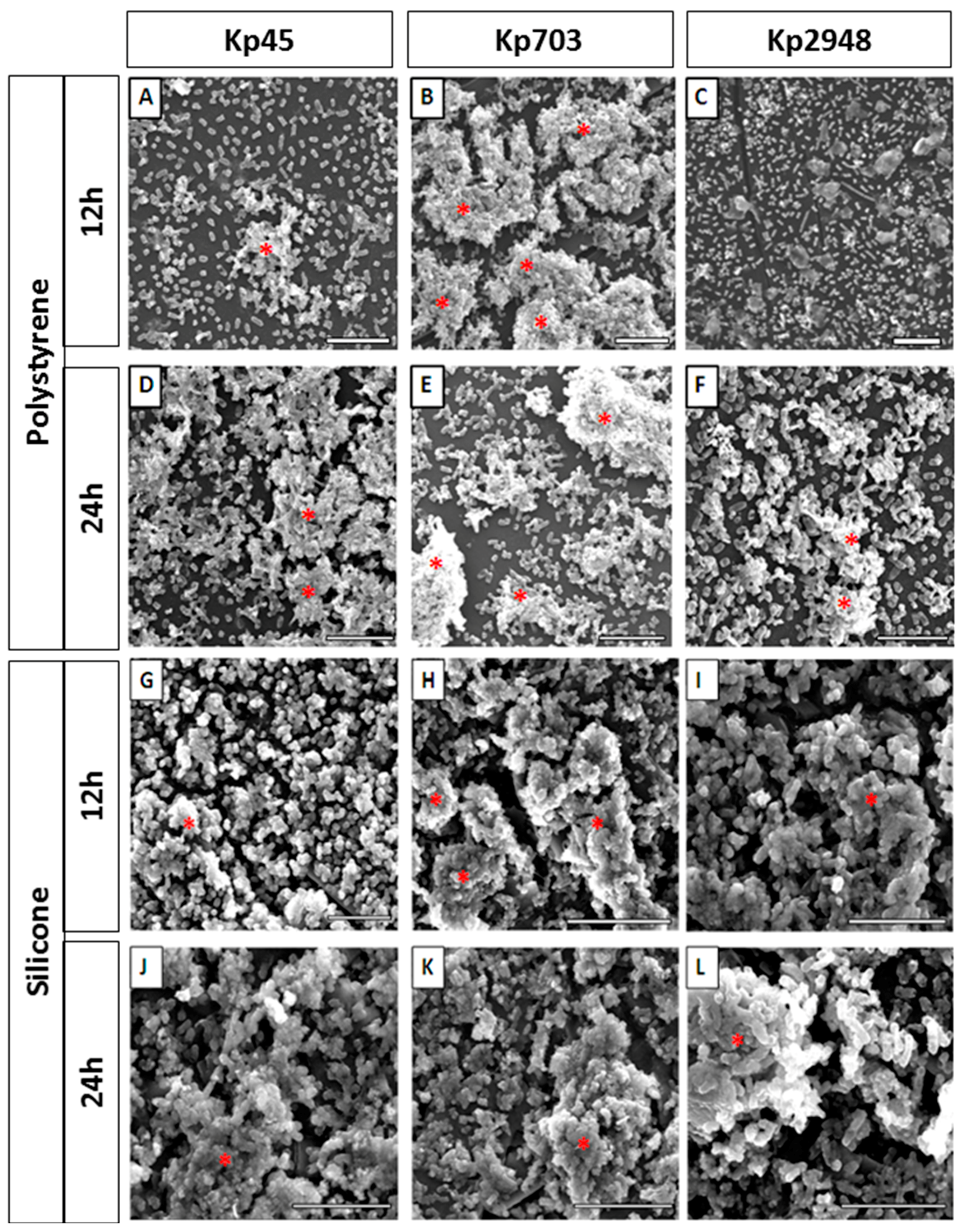 Microorganisms 05 00016 g001