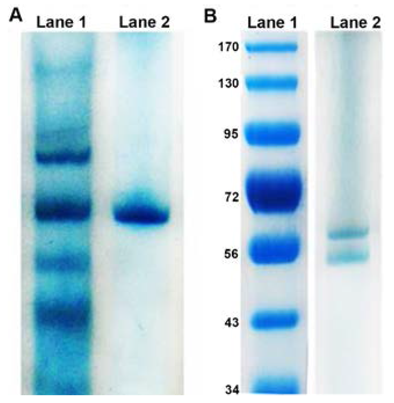 Microorganisms 05 00020 g001